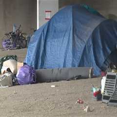 The Most Common Challenges Faced by Homeless Individuals in Travis County, Texas