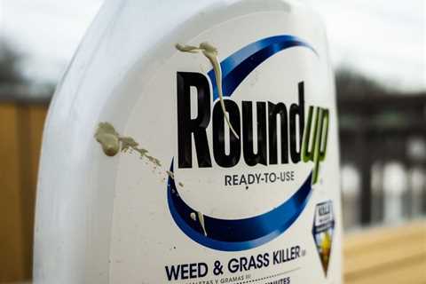 Why Jurors Shifted on Roundup Verdicts, and What's Next for Monsanto in 2024