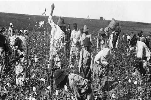 Life of Free People of Color Near Plantations in Broward County, FL