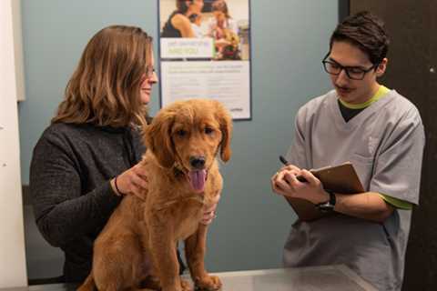 AVMA initiatives support veterinary technicians and technologists