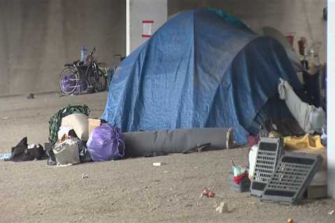 The Most Common Challenges Faced by Homeless Individuals in Travis County, Texas