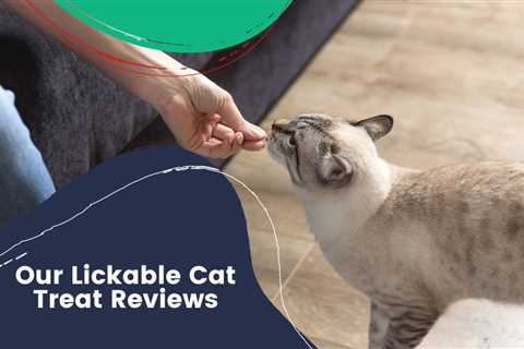 Our Lickable Cat Treat Reviews