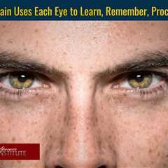 How Your Brain Uses Both Eyes to Learn, Remember, Process and Cope