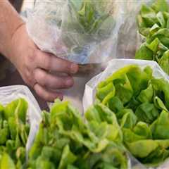 Getting Healthy Food During the Pandemic: Central Texas Farmers Markets Delivery and Online..