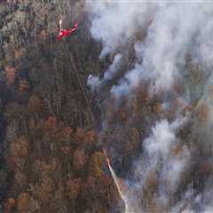 The Essential Protocol for Responding to Wildfires in Northern Virginia