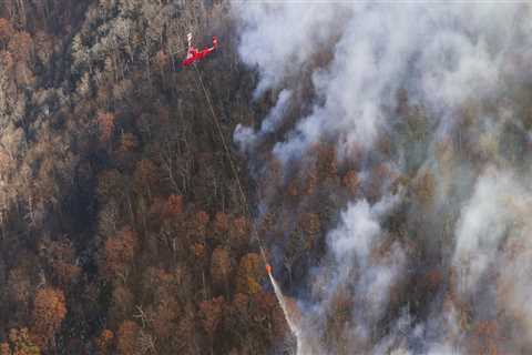 The Essential Protocol for Responding to Wildfires in Northern Virginia