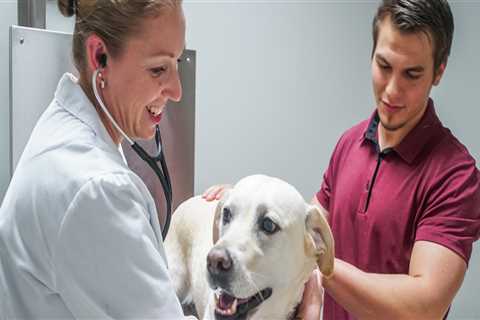 The Importance of Choosing a Specialized Veterinarian at an Animal Hospital in Augusta GA