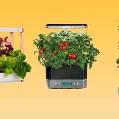 The best indoor gardens for growing herbs and vegetables of 2024