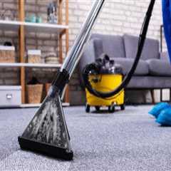 The Average Cost of Professional Carpet Cleaning Services