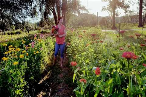 The Impact of Agricultural Programs on the Local Economy in Charleston, SC