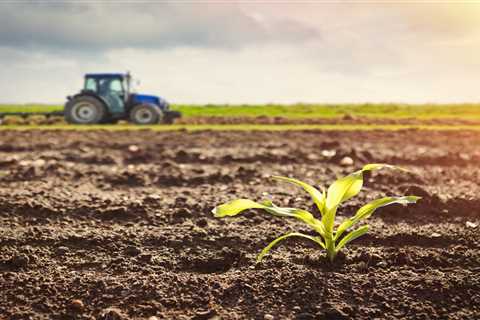 Lawsuit Aims To Stop The EPA From Allowing Farmers To Keep Using Toxic Poop Water To Grow Your Food