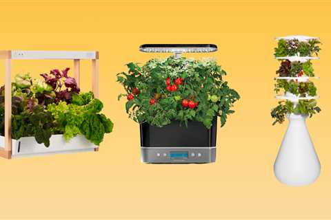 The best indoor gardens for growing herbs and vegetables of 2024