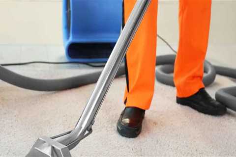 Are You Missing Out on Discounts and Promotions from Carpet Cleaning Services?