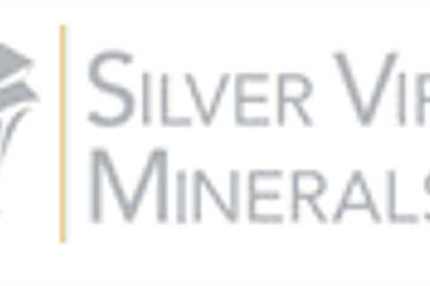 Silver Viper Closes Final Tranche of Private Placement