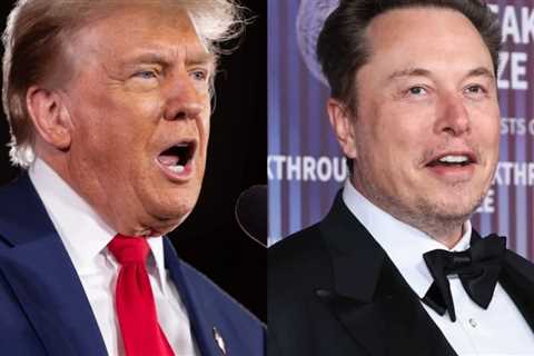 Donald Trump is reportedly considering an advisory role for Elon Musk