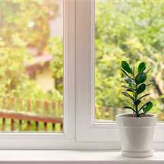 Buyer’s Guide To Energy-Efficient Windows