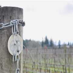The Ultimate Guide to Starting a Winery in Aurora, OR
