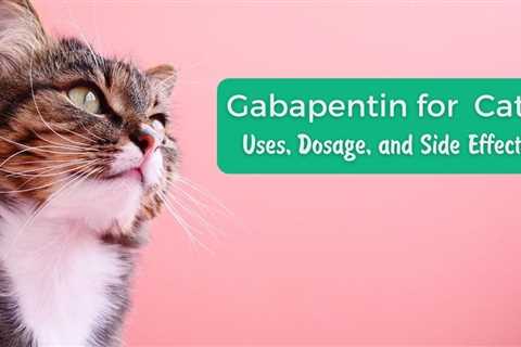 Gabapentin for  Cats: Uses, Dosage, and Side Effects