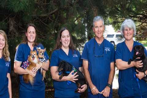 The Ultimate Guide to Animal Hospitals in Fayetteville, Arkansas