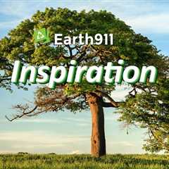 Earth911 Inspiration: The Planet Is Carrying You