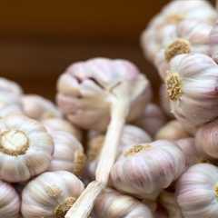 Eating Garlic Can Reduce The Risk Of Colorectal Cancer, Study Suggests