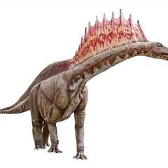 Scientists Discovered a New Dinosaur That Is a Mini-Brontosaurus With Spikes