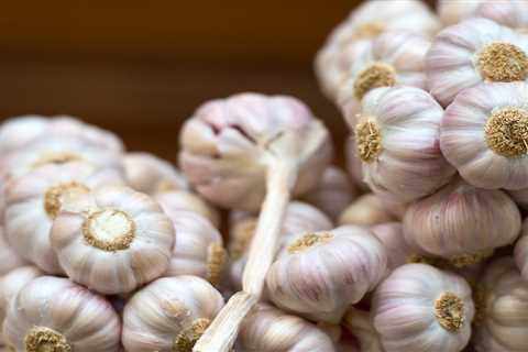 Eating Garlic Can Reduce The Risk Of Colorectal Cancer, Study Suggests