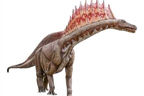 Scientists Discovered a New Dinosaur That Is a Mini-Brontosaurus With Spikes