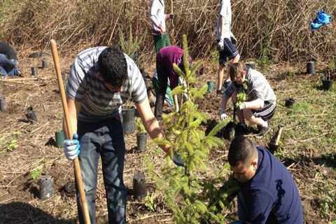 The Impact of Community Projects on Sustainability and Environmental Awareness in Milton, PA