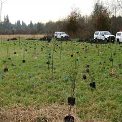 The Current Waste Management System in Clark County, WA