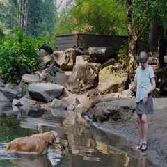 Exploring the Diverse Communities in Clark County, WA