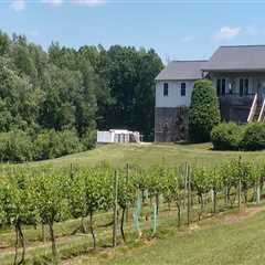 The Ultimate Guide to Exploring the Wineries in Stafford County, VA