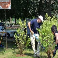 The Impact of Community Projects on the Environment in Clark County, WA