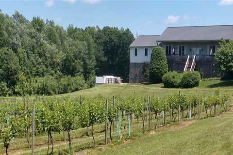 The Ultimate Guide to Exploring the Wineries in Stafford County, VA