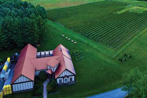 Exploring the Top Wineries in Stafford County, VA