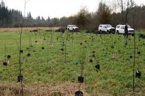 The Role of County Weed Control Board in Managing Invasive Species in Franklin County, WA