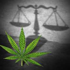 County Reps: Appeal Likely Following State Court's Sales Tax Ruling for Retail Marijuana