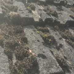 Roof Cleaning  Craigmillar Call For A Free Quote Today Professional Roof Cleaners  Commercial And..