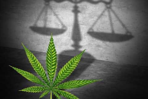 County Reps: Appeal Likely Following State Court's Sales Tax Ruling for Retail Marijuana