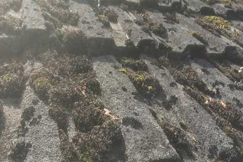 Roof Cleaning  Craigmillar Call For A Free Quote Today Professional Roof Cleaners  Commercial And..