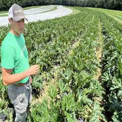 Environmental Conservation in Franklin County, WA: Impact of Agriculture and Mitigation Efforts