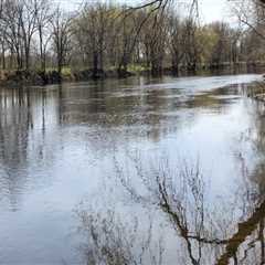 The Evolution of Wildlife Conservation in Anoka County, Minnesota