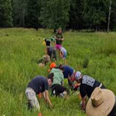 The Impact of Climate Change and Pollution on Wildlife Animals in Anoka County, Minnesota