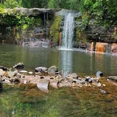 Exploring the Wild Side of Anoka County, Minnesota