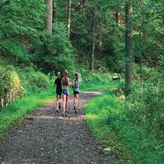 The Importance of Outdoor Spaces and Fields at Community Centers in Westchester County, New York