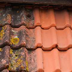 Sherwood Roof Cleaning Our Local Roof Cleaners Specialise In Quick And Efficient Roof Cleaning..