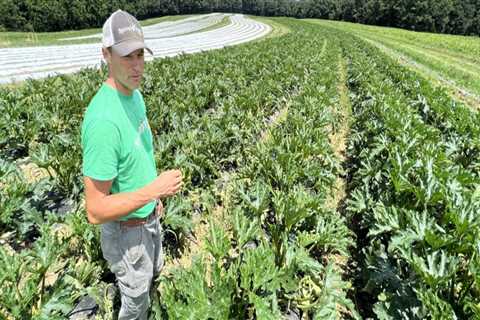 Environmental Conservation in Franklin County, WA: Impact of Agriculture and Mitigation Efforts