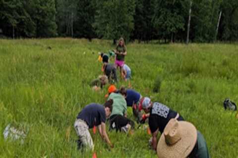 The Impact of Climate Change and Pollution on Wildlife Animals in Anoka County, Minnesota