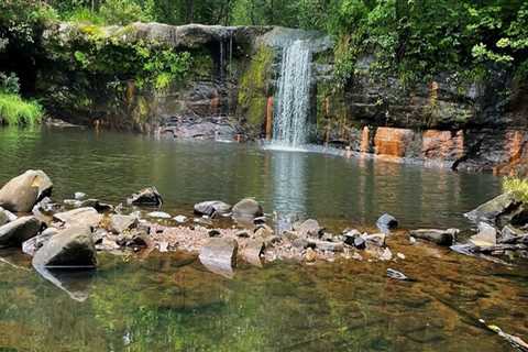 Exploring the Wild Side of Anoka County, Minnesota