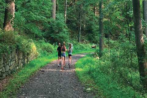 The Importance of Outdoor Spaces and Fields at Community Centers in Westchester County, New York